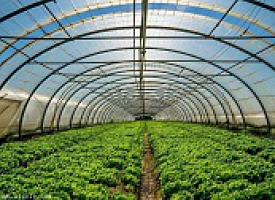 �ǻ۴���ϵ�y(t��ng)